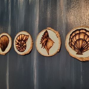 Seashell Coasters
